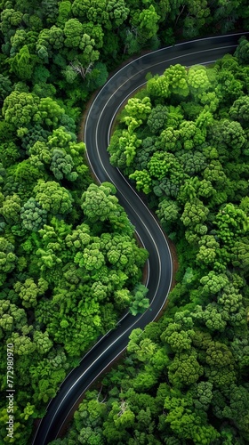 Aerial view of a winding road through a lush forest © iVGraphic