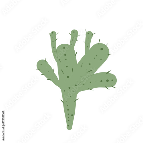 Mexican cacti. Cactus isolation on white background. Exotic plant Vector flat illustration