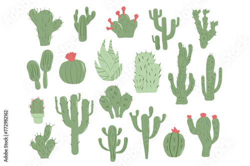 Cactus hand drawn set isolation on white background. Mexican cacti and aloe. Exotic various plants collection Vector illustration