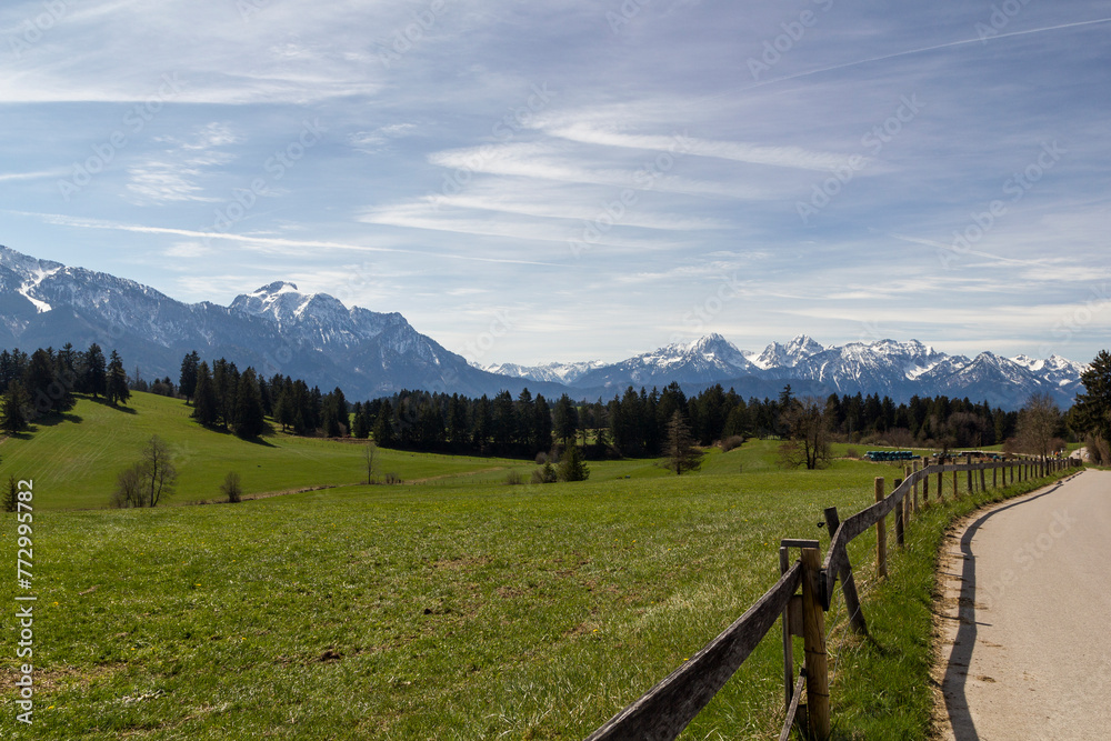 idyllischer Blick über eine Wiese in den bayerischen Alpen im Ostallgäu. Im Hintergrund erstrecken sich die schneebedeckten Berge Säuling und Tegelberg