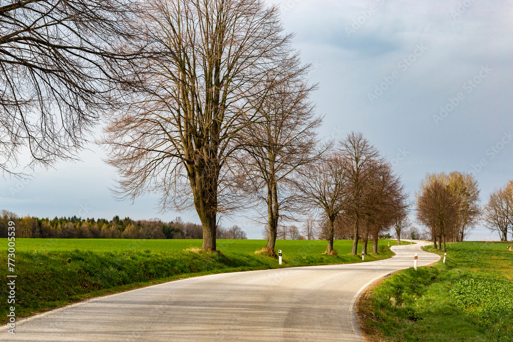 Rural road in czech countryside