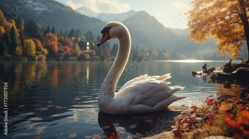 Graceful swan enhancing serene beauty on tranquil lake in a picturesque landscape photo