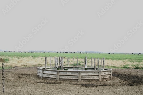Tanque Australiano de placas de cemento en La pampa Argentina de sudamérica, es depósito de agua para beber los animales de campo, con fondo del prado verde y las vacas pastando en el horizonte   