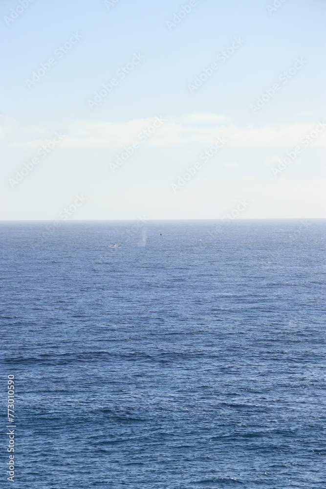 Ocean Ocean