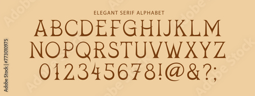 Vector Set Of Letters, Numbers and Punctuation. Decorative Elegant Serif Letters in Classic Proportions. Uppercase Alphabet.