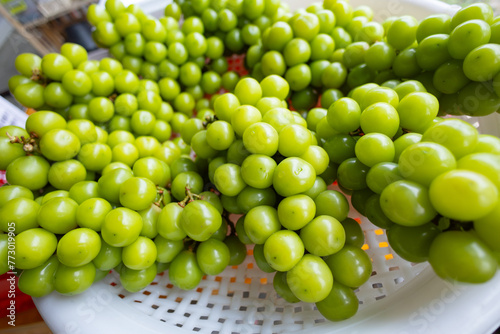 bunch of fresh green Shine Muscat grape