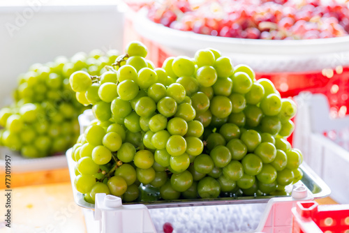 bunch of fresh green Shine Muscat grape from japan