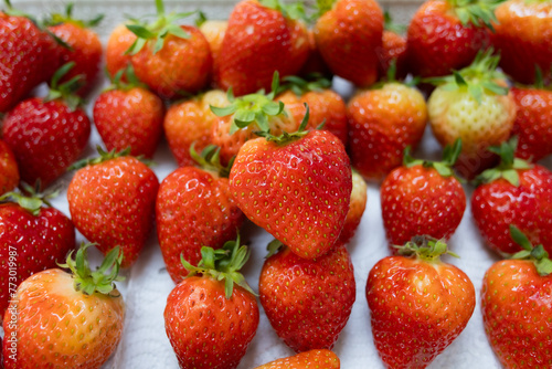 Fototapeta Naklejka Na Ścianę i Meble -  fresh strawberries in a market