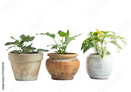 Ceramic Plant Pots Trio Displayed On Transparent Background.