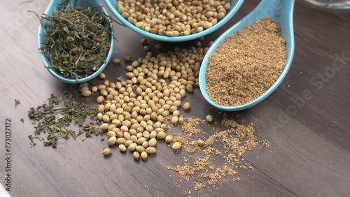 Coriander seeds and coriander Powdered, Indian Spices and herbs.
