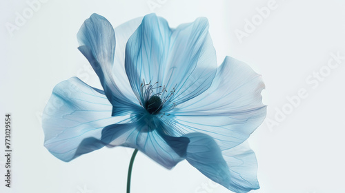 Transparent aery blue flower on white background. Aesthetic concept. Delicate watercolour. Generative AI