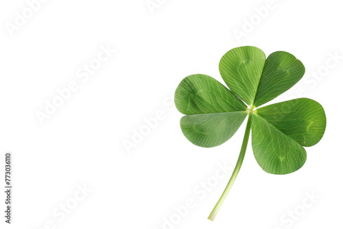 Four-Leaf Clover On Transparent Background.