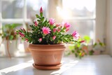 Blooming Beauty A Pink Cactus in a Pot Generative AI