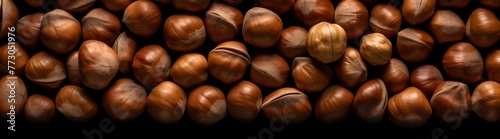 a group of hazelnuts