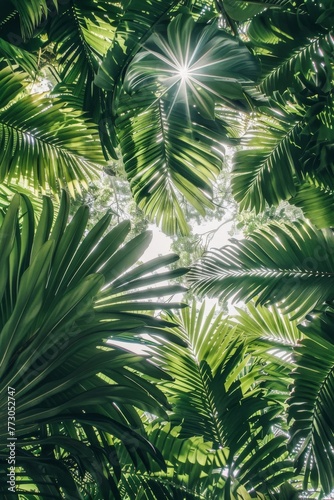 ground view of tropical forest exotic plants 