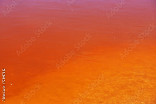 Lake Retba, Lac rose close Dakar, Senegal, West Africa photo