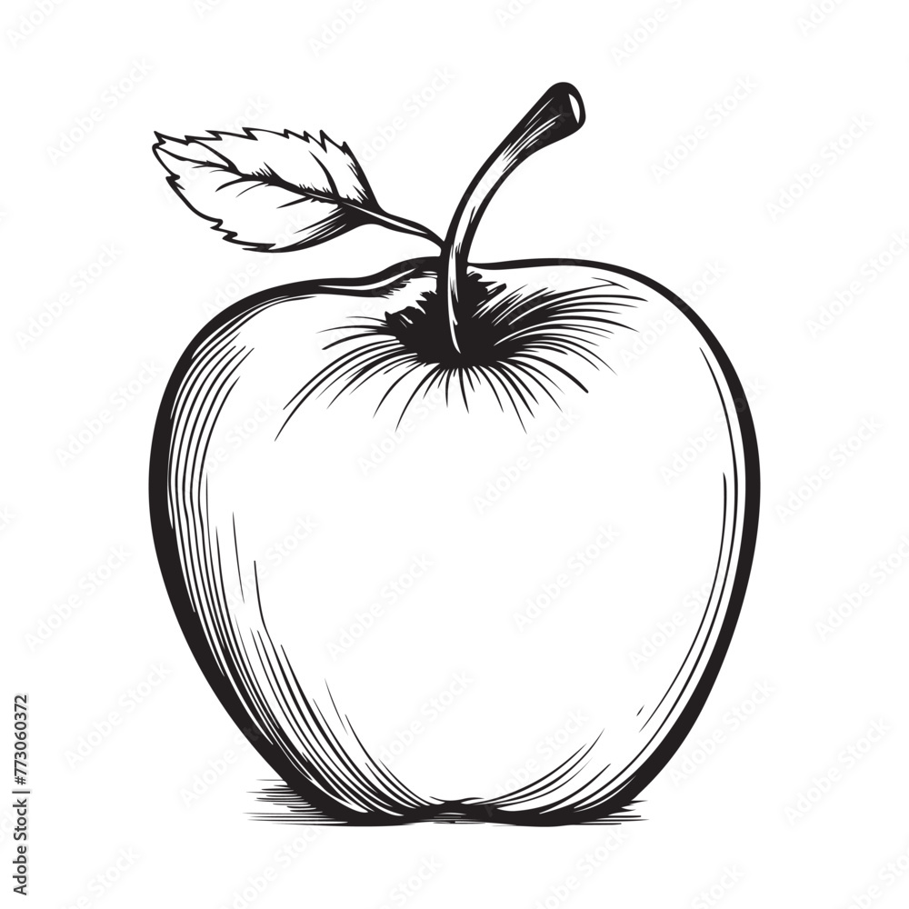Apple Illustration Images, illustration of an apple Apple Illustration Images, illustration of an apple
