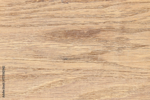 Oak wood cut texture. Oak texture.