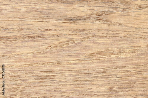 Oak wood cut texture. Oak texture.