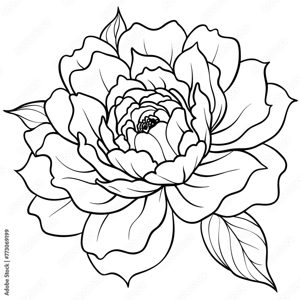 Peony Vector Art Blossoming Beauty in Digital Form