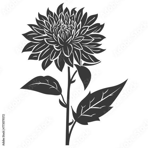 Silhouette aster flower black color only