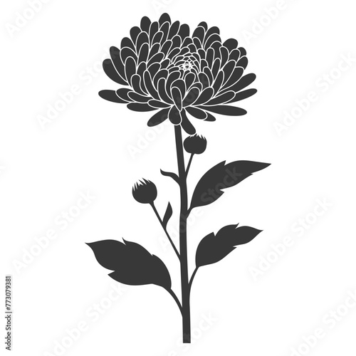 Silhouette aster flower black color only