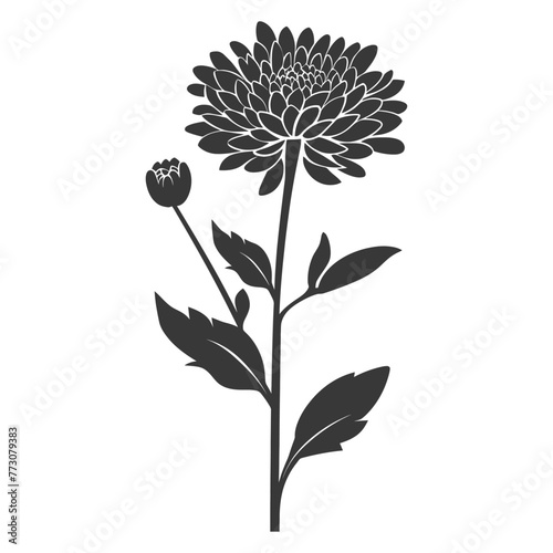 Silhouette aster flower black color only