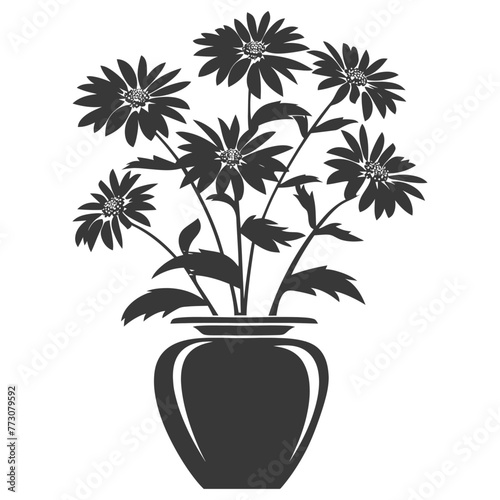 Silhouette aster flower in the vase black color only