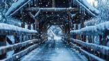 A snow-covered wooden bridge with a walkway in the middle.jpg
