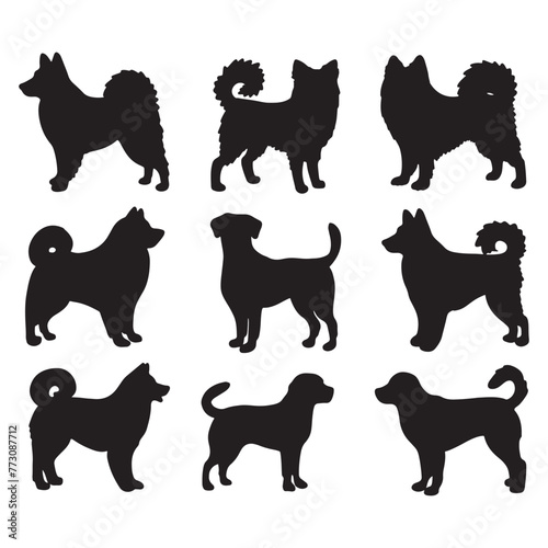 Isolated dogs on the white background. Dogs silhouettes. Vector EPS 10.	