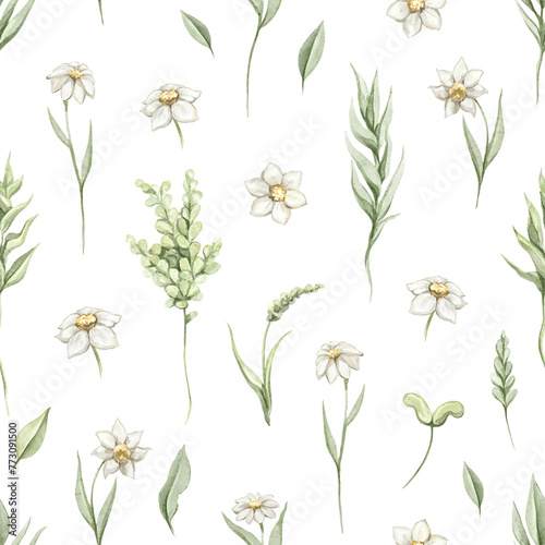 Seamless pattern with vintage various chamomile flowers and leaves set isolated on white background. Watercolor hand drawn illustration sketch