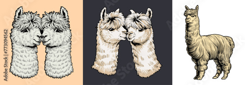 Affectionate alpacas hand-drawn vector illustration. Generative AI.