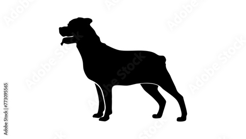 rottweiler dog, black isolated silhouette