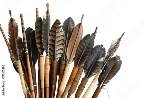 Feathered Arrows Display isolated on transparent background photo