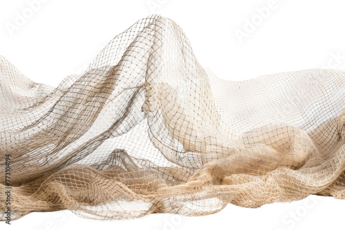 Understanding Netting Equipment isolated on transparent background photo