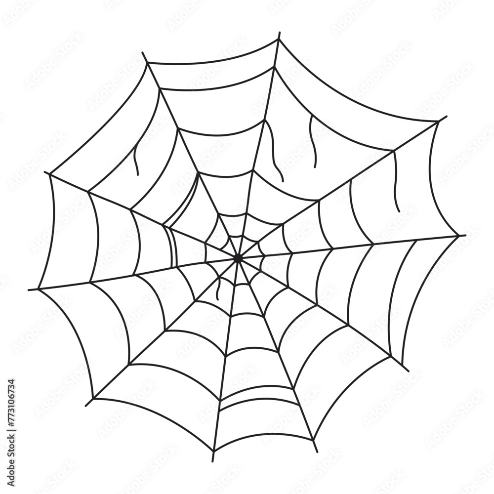 Fototapeta premium Halloween Spider Web