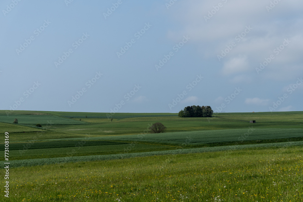 Landscapein the german area called Rothaargebirge