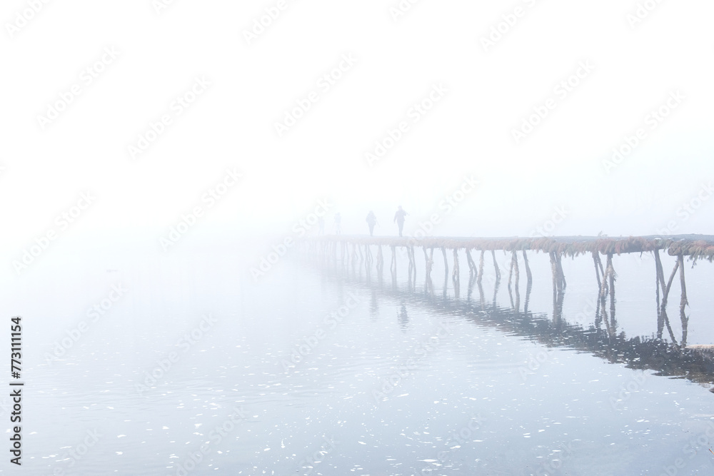 Spring morning bridge landscape. Fogy and misty rises from the river.