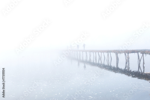 Spring morning bridge landscape. Fogy and misty rises from the river. © Chongbum Thomas Park