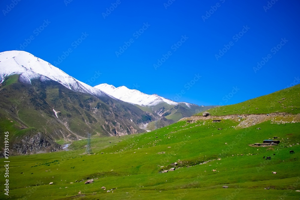 Scenic Himalayan landscape with a green slope against the background of a bright blue sky.