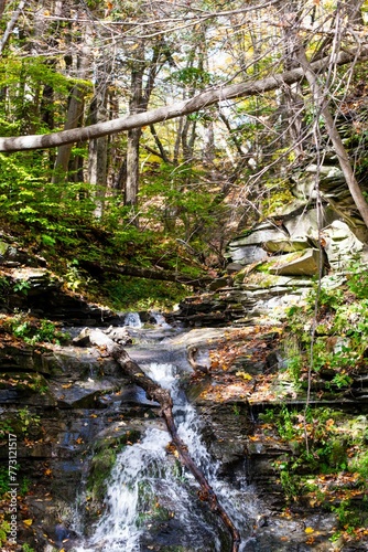 Картината върху платно Stream cascading down a hillside, creating a picturesque waterfall, Letchworth S