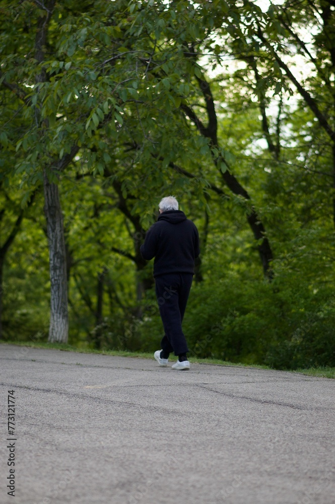 Fototapeta premium Male figure is walking along a forest pathway, which is lined with tall trees