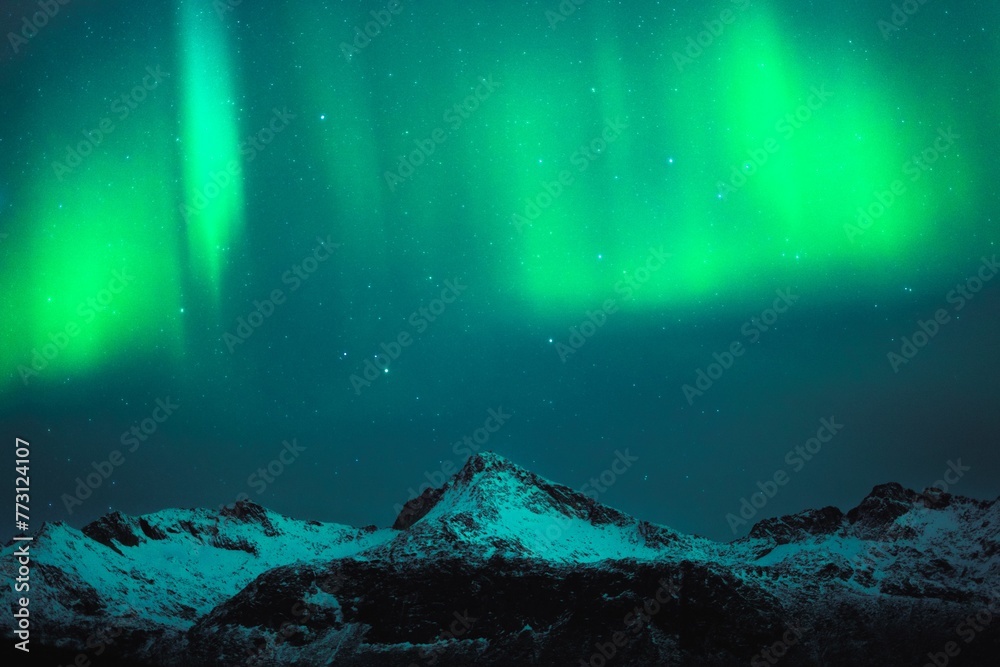 Stunning winter landscape with an Aurora Borealis (Northern Lights) display in the night sky