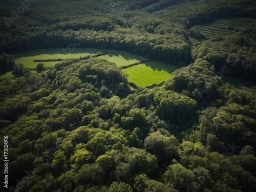 Aerial view of Earth s forests and fields