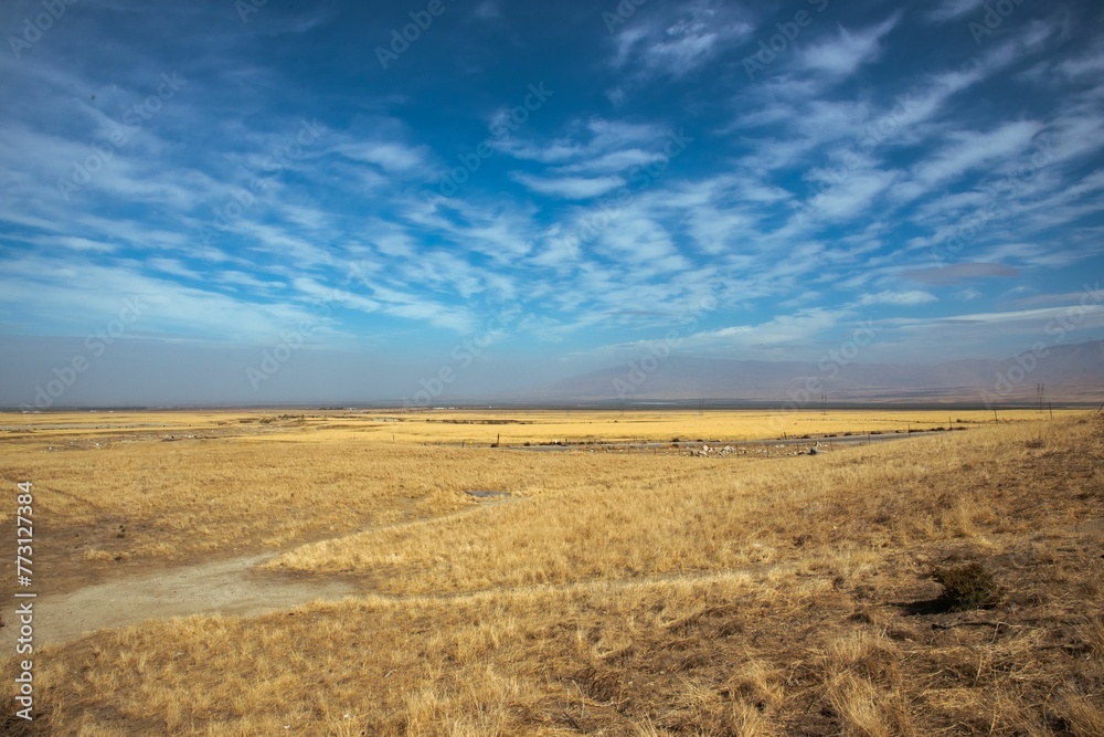 Idyllic landscape of a field of golden dry grass with white, fluffy clouds above. Idyllic landscape of a field of golden dry grass with white, fluffy clouds above.