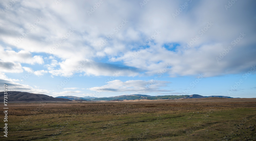 The prairie inner Mongolia China. Beautiful endless expanses grassland, cattle and blue sky and white clouds. The prairie inner Mongolia China. Beautiful endless expanses grassland, cattle and blue sky and white clouds.