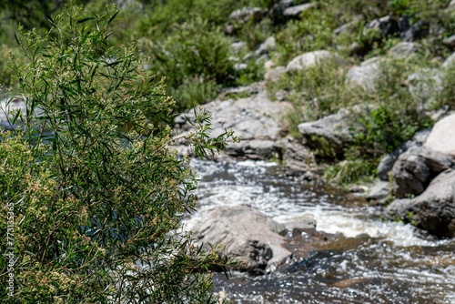 a river runs through the rocky area near rocks and trees