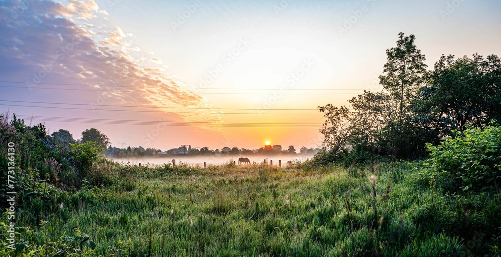 Naklejka premium Tranquil scene of a rural landscape with a sun-drenched field