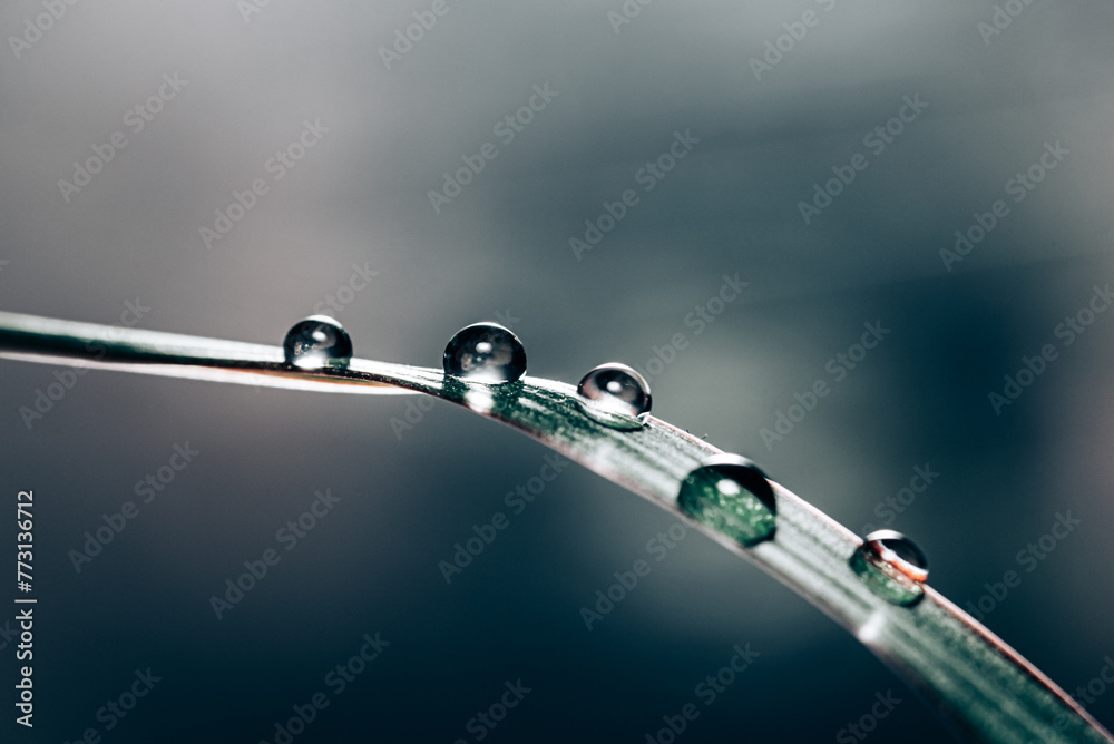 Wassertropfen