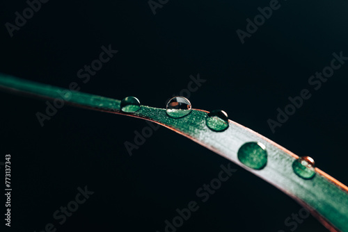 Wassertropfen